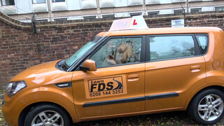 Fake Driving School a barna srácnak nem sikerül a vizsga